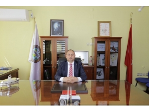 Dane Zeytine Destek Müjdesi