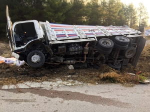 Yoldan Çıkan Kamyon Devrildi: 2 Yaralı