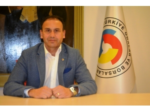 15. Ayvalık Uluslararası Zeytin Hasat Festivali Başlıyor