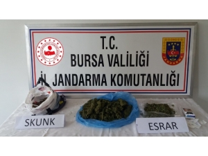 Uyuşturucu Maddeler Klozetten Çıktı
