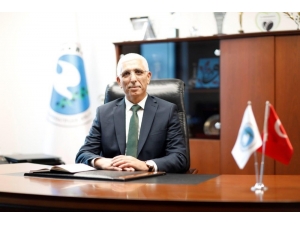 Sofralık Zeytine Prim Desteği Geldi