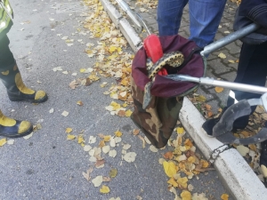 Çocuklardan Korkarak Araca Saklanan Yılanı İtfaiye Ekipleri Çıkarttı