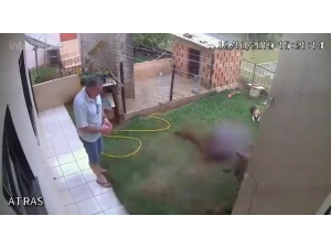 Haşerelere Çözüm Bulmak İsterken Bahçeyi Havaya Uçurdu