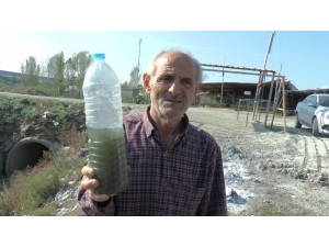 Kocaeli’de Simsiyah Su Akan Kanal Vatandaşları Korkutuyor