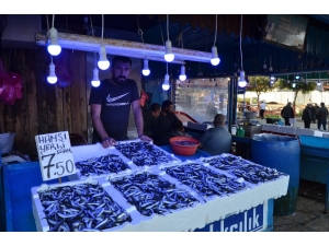 Hamside Son Yılların En Bereketli Dönemi Yaşanıyor