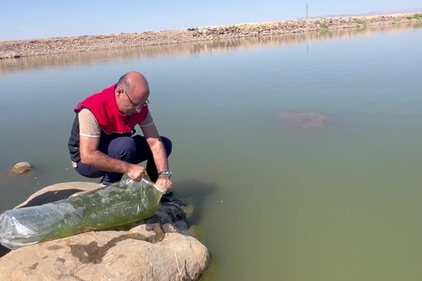 idil-de-dirsekli-goletine-100-bin-yavru-sazan-birakildi