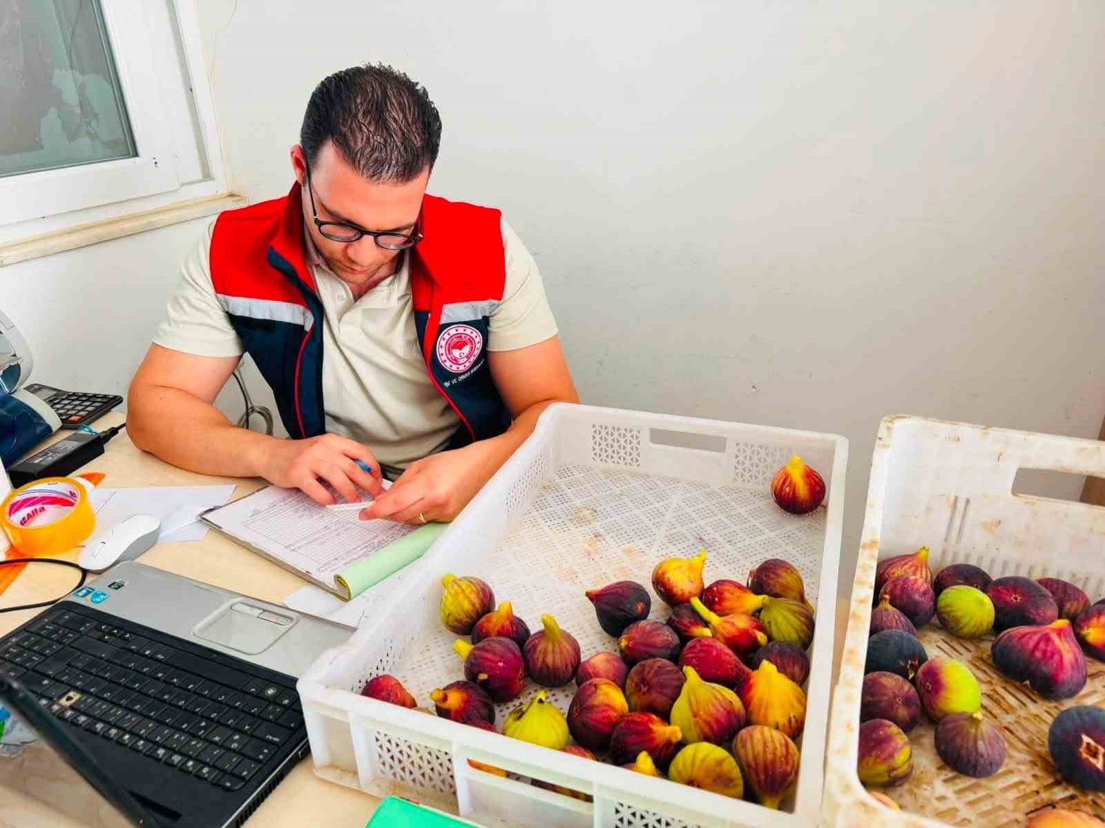 nazilli-de-taze-incir-denetimi