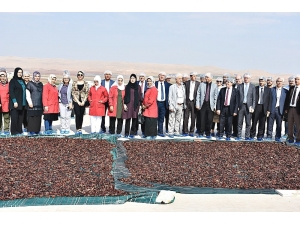 Şanlıurfa Teknokent İstihdama Yönelik Projelerle Öne Çıkıyor