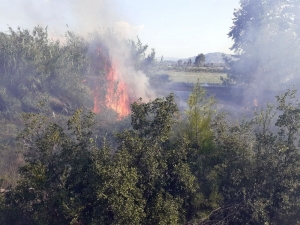 Antalya’da Çıkan Yangın Kontrol Altına Alındı