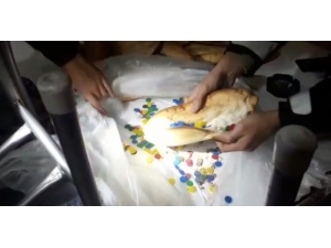 Ekmek İçinden Tombala Pulu Çıktı