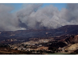 Meksika’da Orman Yangını: 3 Ölü