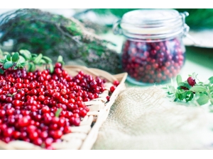 Kekreyemiş, Kan Şekeri İle İnsülini Dengeliyor