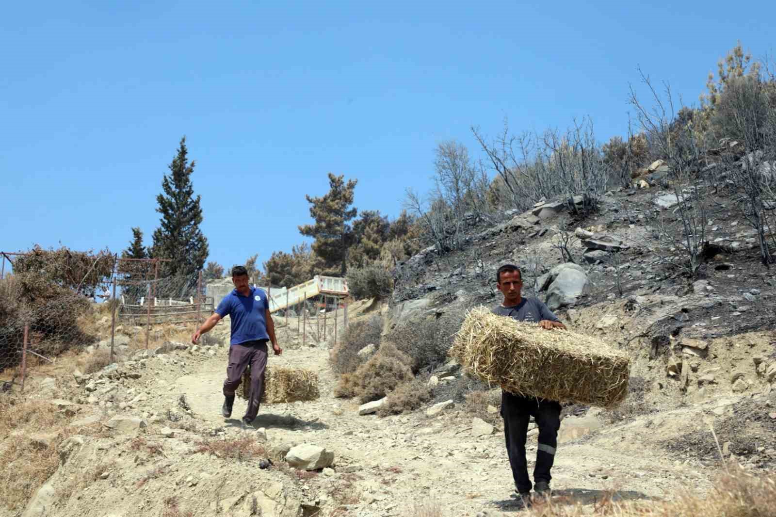 seydikemer-de-yaralar-hizla-sariliyor