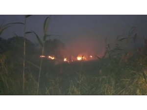 Samandağ’da Sazlık Alanda Çıkan Yangın Kontrol Altına Alındı