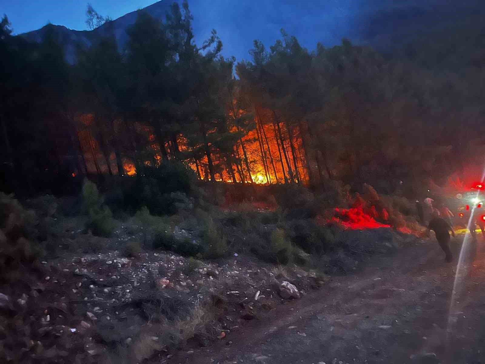 alanya-da-ormanlik-alanda-cikan-yangin-kontrol-altina-alindi