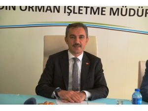 2019’un İlk On Ayında 282 Orman Yangını Çıktı