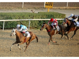 Eso Koşusu Gerçekleştirildi