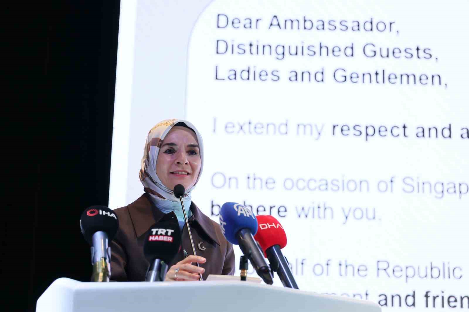 bakan-goktas-singapur-ile-iliskilerimizi-yeni-adimlarla-guclendirme-konusunda-kararliyiz