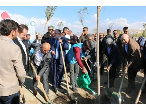 Başkan Şayir, Bebekler İçin Van’da Fidan Dikti