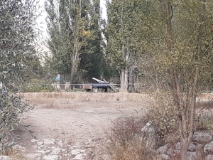 Üstüne, Kesilen Ağaç Parçası Düşen Kadın Hayatını Kaybetti