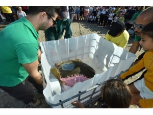 Tedavi Edilen Caretta ‘Astrid’ Denize Bırakıldı