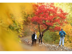 Tunceli’de Sonbaharla Gelen "Renk Cümbüşü"