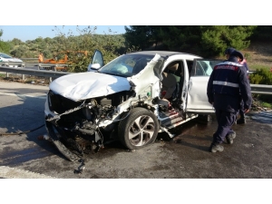 Şampiyona Dönüşü Trafik Kazasında Hayatını Kaybetti