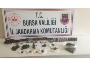 Uyuşturucu Taciri Tutuklandı