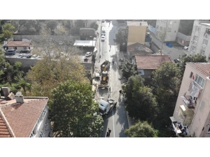 Freni Boşalan Kereste Yüklü Tır Yokuş Aşağı Sürüklendi