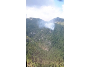 Yıldırım Düşmesi Sonucu Orman Yangını Çıktı