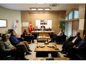 Cizre’de 8 Bin Fidan Toprakla Buluşacak