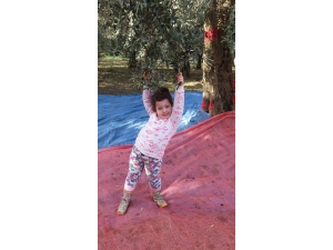 Okula Giderken Araba Çarpan Küçük Öğrenci Ağır Yaralandı