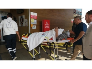 Kestiği Ağacın Altında Kalan Adam Yaralandı