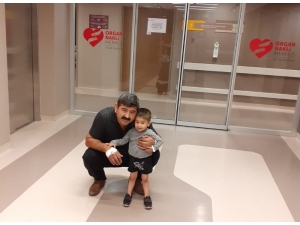 4 Yaşındaki Oğluna Böbreğini Verdi