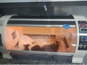 Yedek Lastiğin Jantına Sıkışan Kedi Kurtarıldı