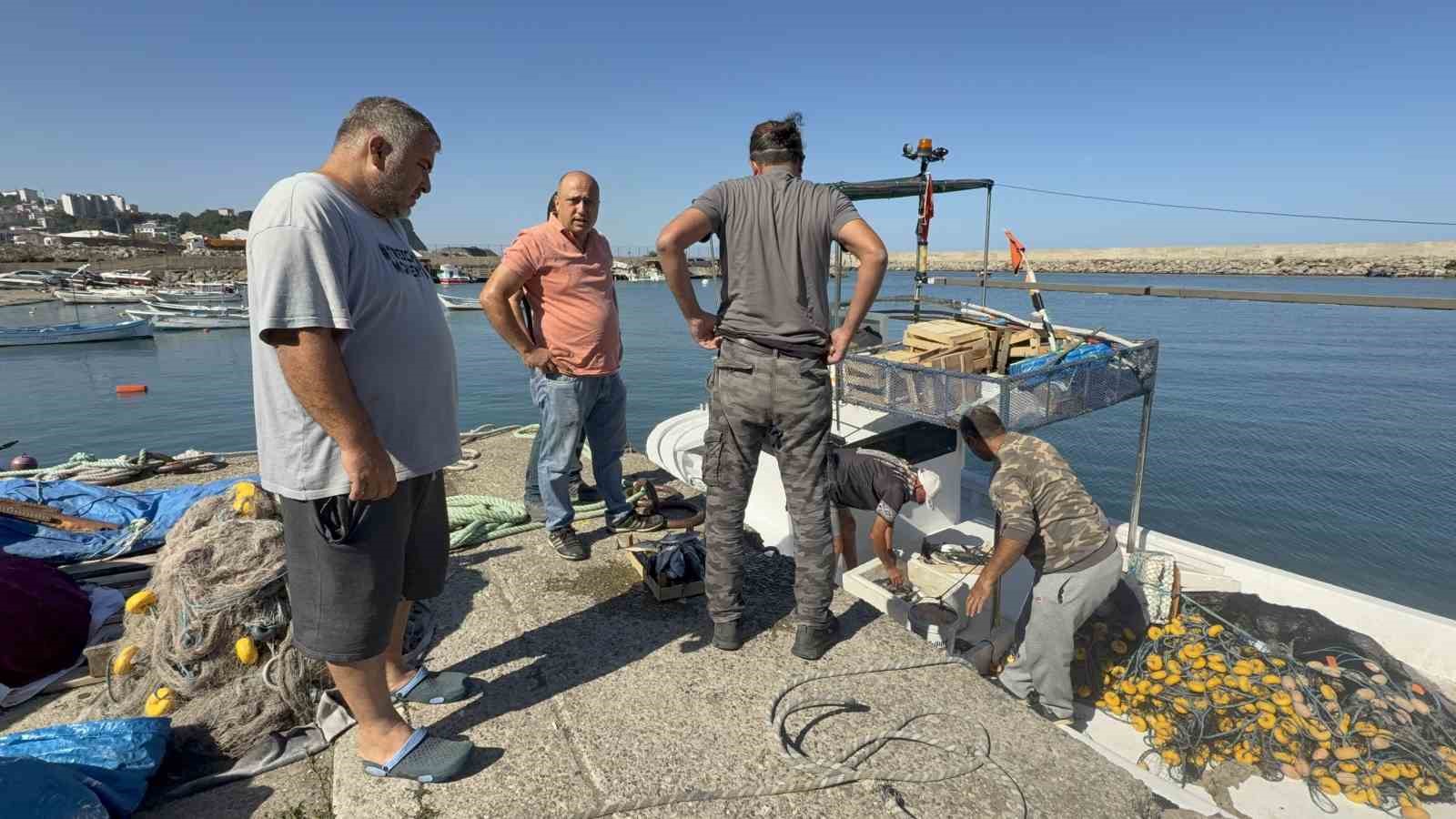 balikcilar-sezonun-ilk-gununde-50-ton-palamutla-limana-dondu