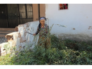 Aydın’da Kış Hazırlıkları Başladı