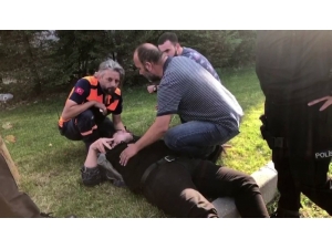 Kavgada Oğlu Dayak Yedi Baba Çılgına Döndü