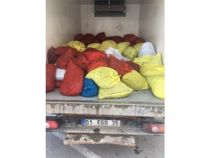 Keşan’da 1 Ton 600 Kilogram Beyaz Kum Midyesi Ele Geçildi