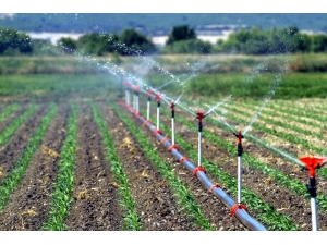 Elazığ’da 22 Bin 100 Dekar Tarım Arazisi Sulandı