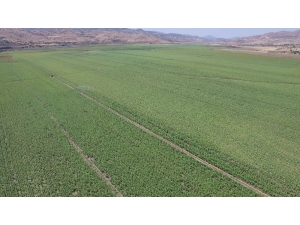 Tunceli’de 5 Bin 330 Dekar Tarım Arazisi Sulandı