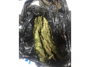 Konya’da Uyuşturucu Operasyonu: 3 Gözaltı