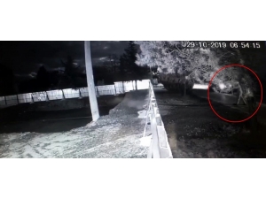 Alkollü Şahıs Teleferik Şantiyesine Ateş Açtı