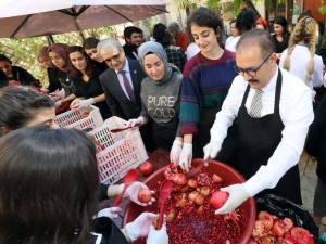 Gaün Geleneksel Nar Festivali Gerçekleştirildi