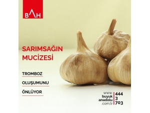 Sarımsağın Kolesterol Ve Glikoza Etkisi