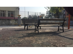 Parklardaki Pislik Ekipleri De Şaşırtıyor