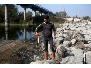 Bursa’da Çevre Felaketi...binlercesi Ölü Bulundu