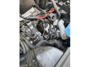 Otomobilin Motor Kısmına Sıkışan Yavru Kediyi İtfaiye Kurtardı