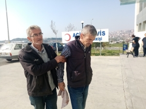 Kestiği Ağaç Dalı Başına Düştü