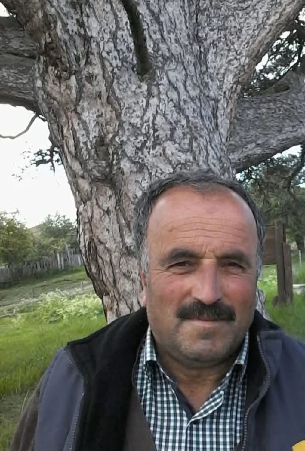 uzerine-agac-devrilen-vatandas-hayatini-kaybetti